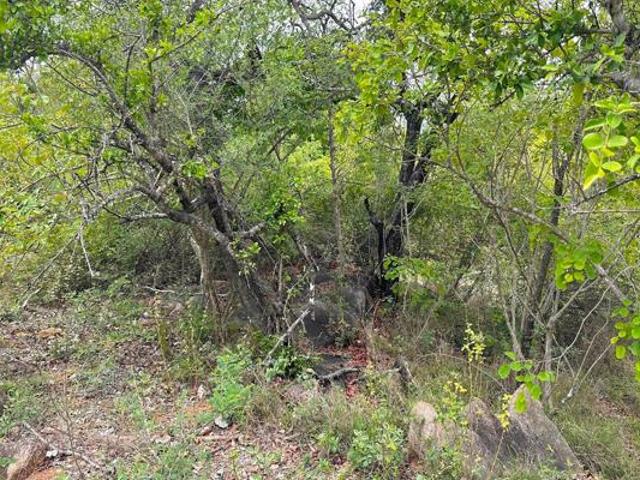 7 851 m² Land available in Sabie Park