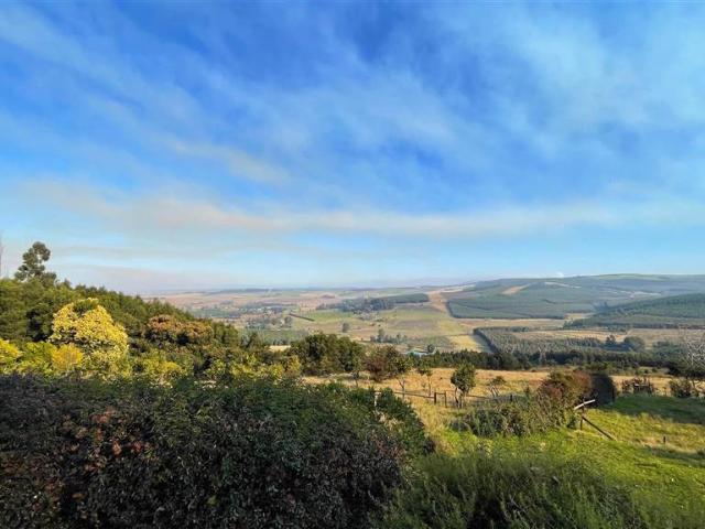 7.8 ha Farm in Greytown