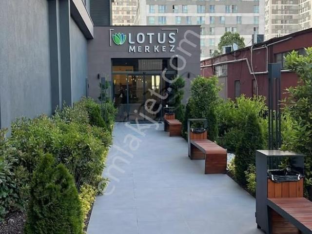 7tepeden Lotus'ta Kiralık İşyeri
