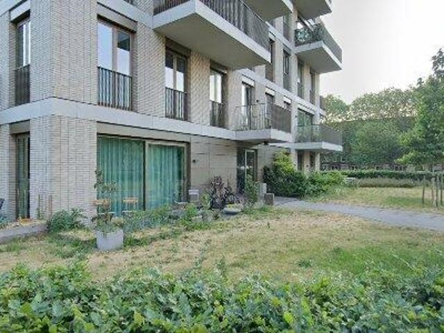 83 m2 apartment for rent in Amsterdam Oud Zuid