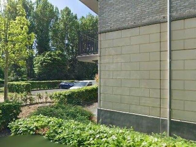 83 m2 apartment for rent in Halle