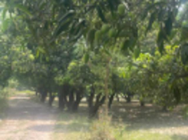 80000 Sq. ft Plot for Sale in Hardoi Road, Lucknow