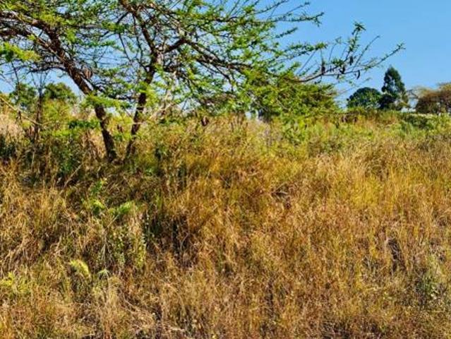 800 m² Land available in Tzaneen