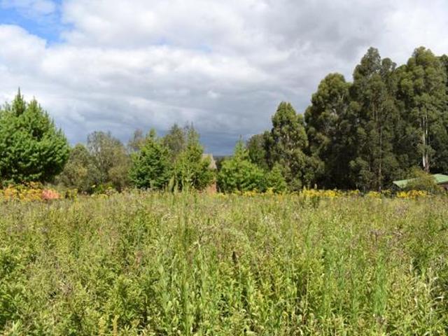 800 m² Land available in Dullstroom