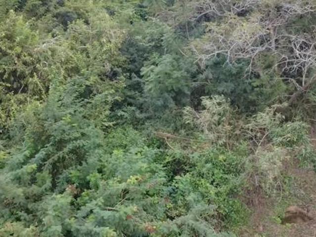 800 m² Land available in Hazyview