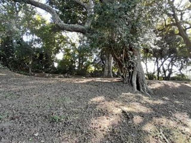 800 m² Land available in Mtwalume