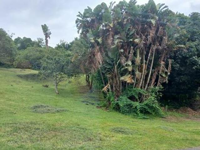802 m² Land available in Cintsa