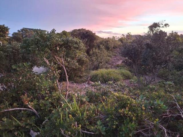 803 m² Land available in Paradise Beach