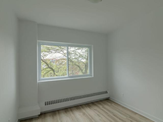 809 Bloomfield Avenue