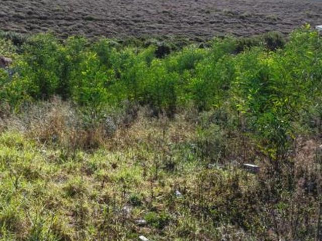 809 m² Land available in Wavecrest