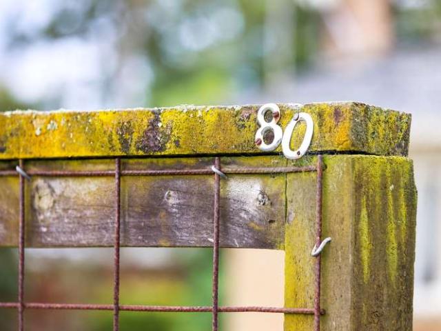 80 Mardon Road, Enderley, Hamilton City
