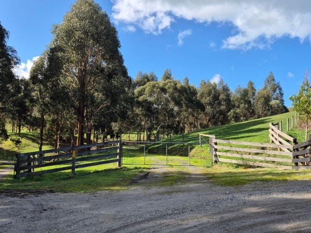 80ha Mixed Farming Lifestyle Property in Wild Dog Valley $1,600,000