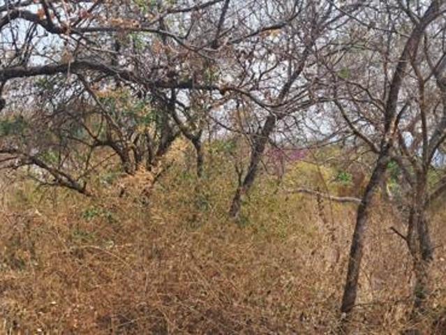 817 m² Land available in Hazyview