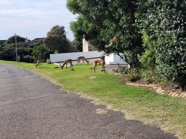 821m² Vacant Land For Sale in Cove Rock
