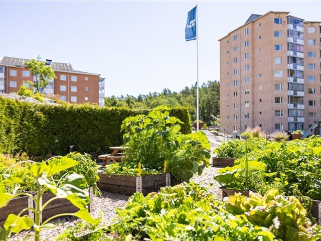 82 m2 lägenhet i Uddevalla