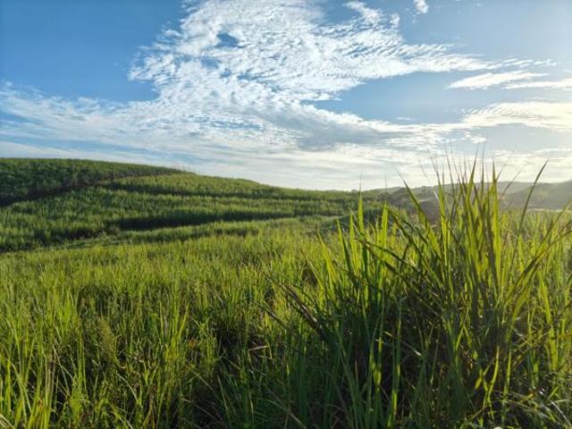 830 m² Land available in Seaton Estate