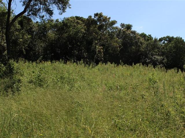 839 m² Land available in Cintsa
