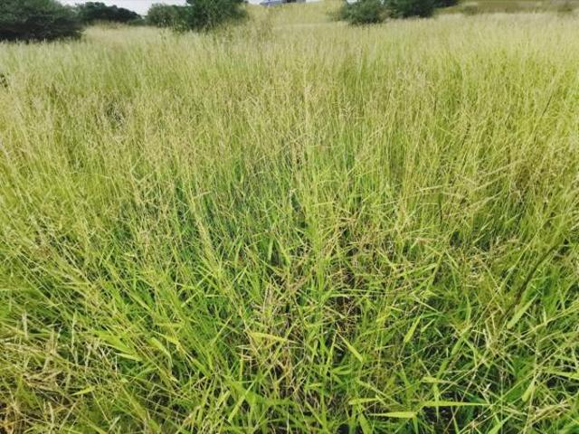 840 m² Land available in Bendor