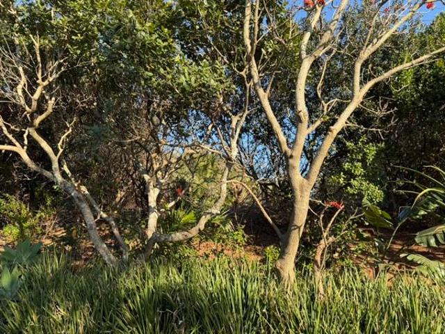 848 m² Land available in Sheffield Beach