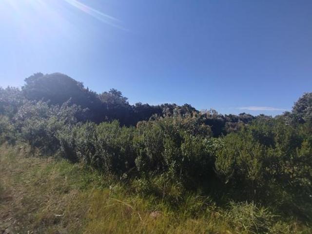 850 m² Land available in Kleinemonde