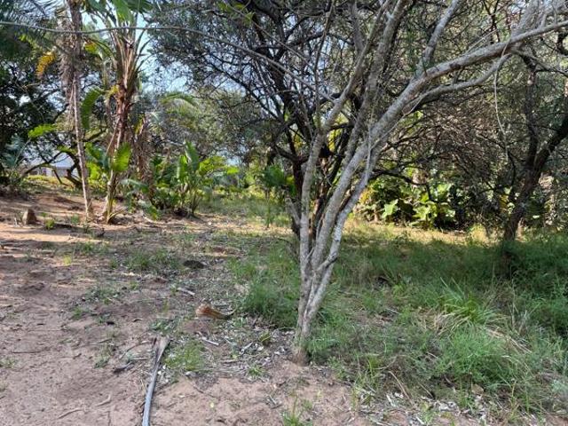 850 m² Land available in Palm Beach