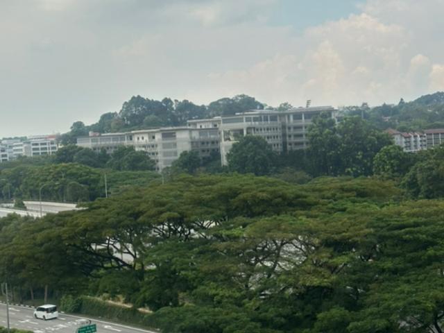 851 Jurong West Street 81 HDB Apartment For Rent, $4,500, 3 Bed 2 Bath 1,367 sqft $3.29 psf