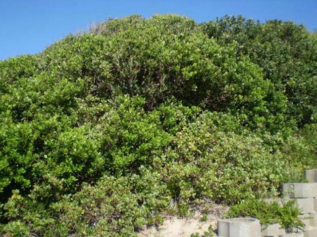 853 m² Land available in Cannon Rocks