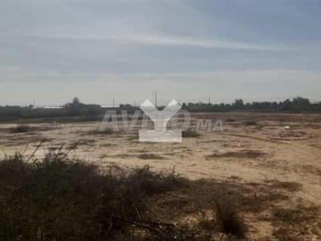 85890 Vente Terrain à Agadir Zone Touristique de 4