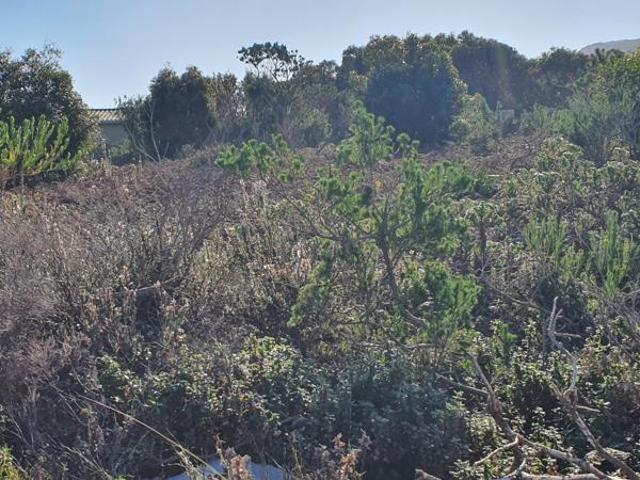 858 m² Land available in Bettys Bay