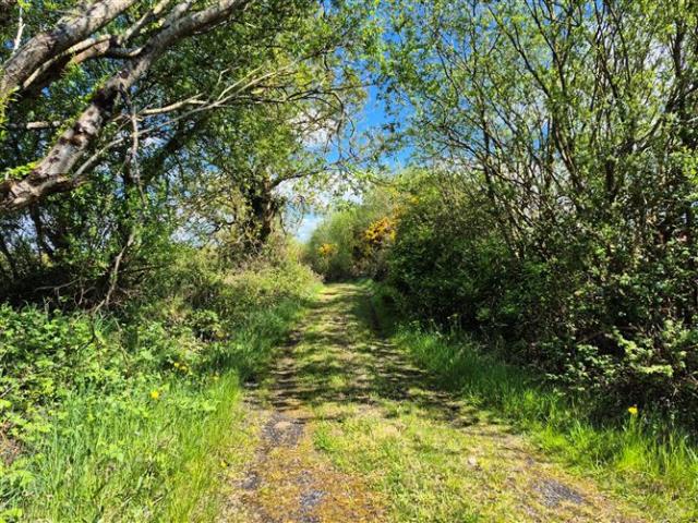 85,000 | Pollaturick, Milltown, Co. Galway Sherry FitzGerald Todd 5001 MyHome. Ie Residential