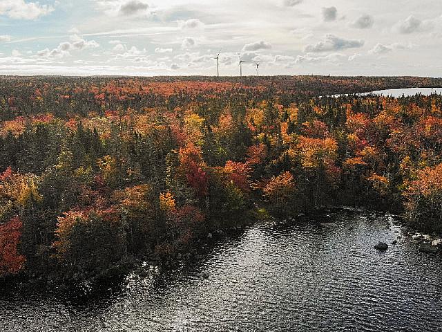 85 Acres Of Land With 760 Ft Of Lake Frontage In Terence Bay