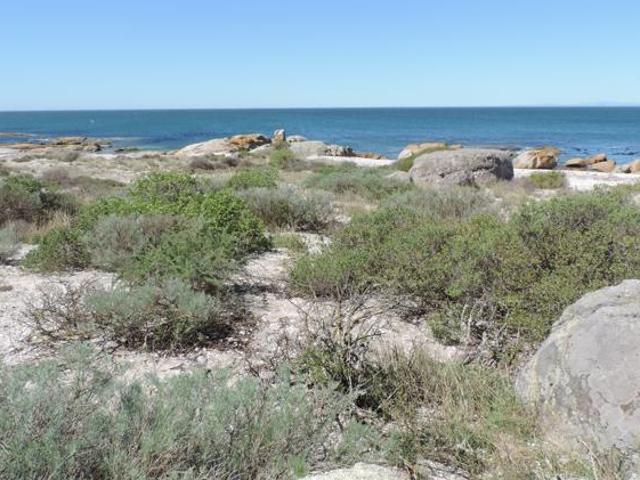 863 m² Land available in St Helena Views