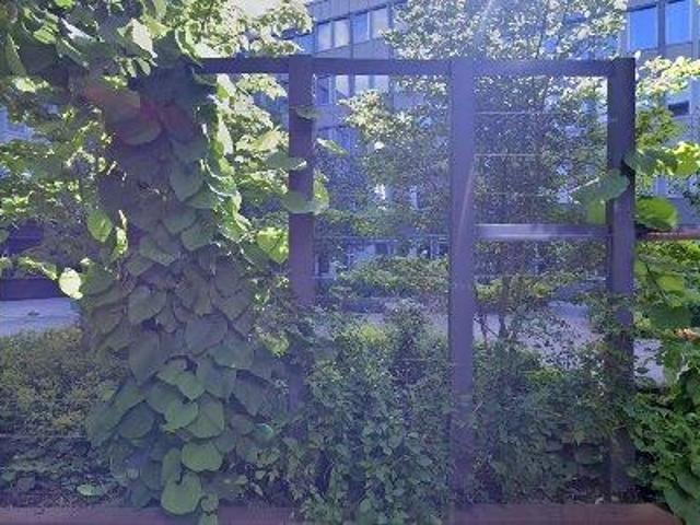 864 m2 kontor uthyres i Solna