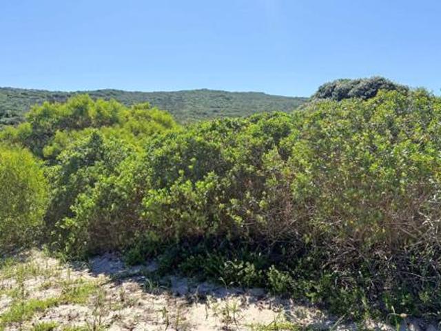 867 m² Land available in Beachview