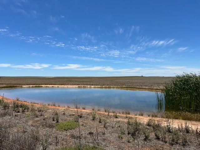 8689 Browns Well Highway, Pinnaroo
