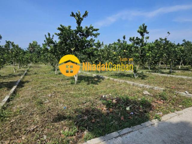 868m mà chỉ có 569tr quá rẻ so với giá thời điểm tại bảo hiệu, yên thuỷ, hoà bình