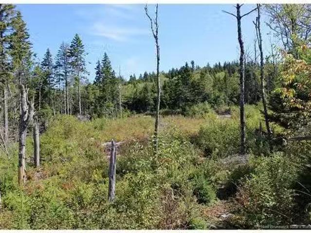 86 81 Owen Crt, Campobello Island, NB, E5E 1Z6 vacant land f.