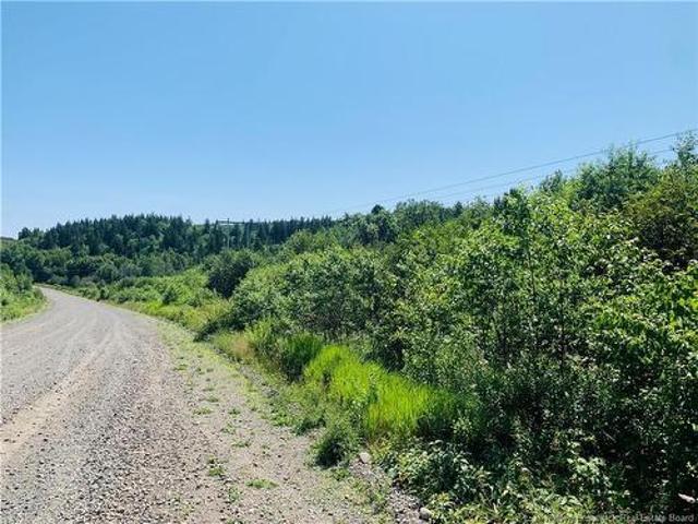 86 137 Fundy Dr, Wilsons Beach, NB, E5E 1K7 vacant land for sale | Listing ID NB138704 | Royal LePage