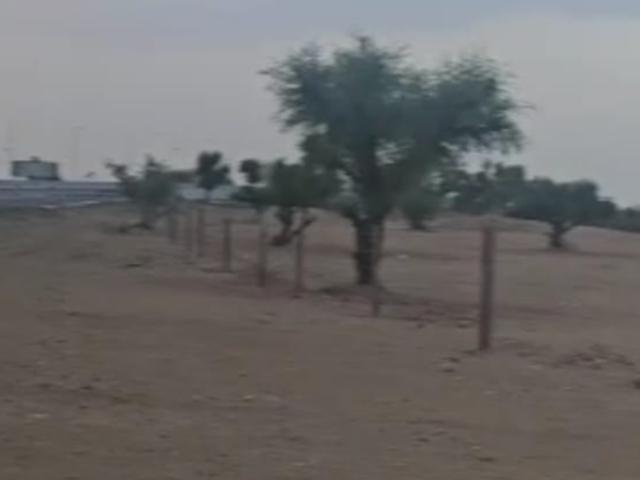 86 Sq.Yd. Plot in Jaipur Road Churu Listing ID: #9543