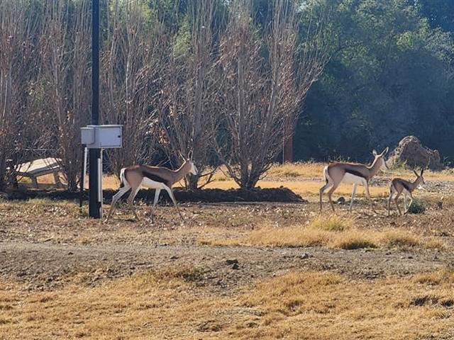 875 m² Land available in Kanoneiland