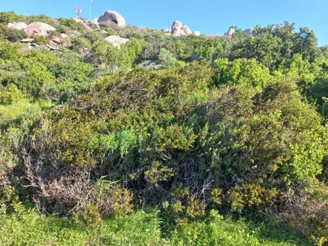 877 m² Land available in Saldanha Heights