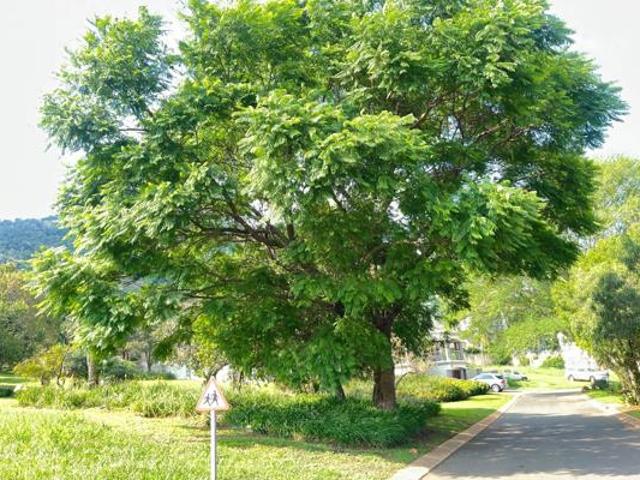 880 m² Land available in Kosmos Ridge Estate