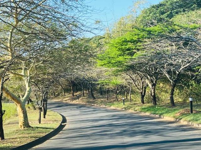 881 m² Land available in Shelly Beach