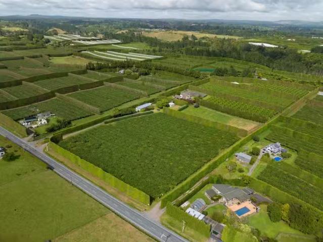 884 Oropi Road, Oropi, Tauranga