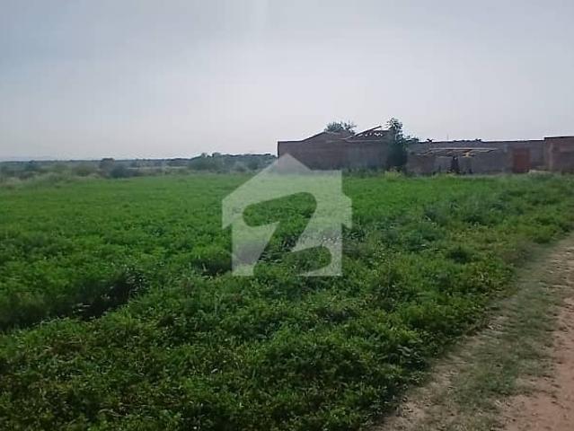 88 kanal agriculture land for sale chakwal