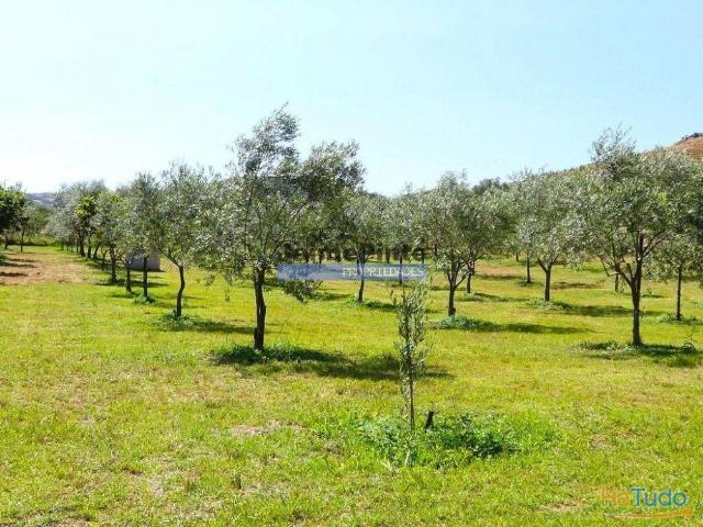 88ha c/ Olival, Cortiça, Floresta e terra p/ novas plantações, Armazém/Casa Ruína. Portugal, Alfândega da Fé. | 26083672975