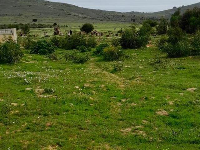 892 m² Land available in Chatsworth
