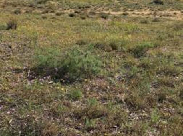 893 m² Land available in Nieuwoudtville
