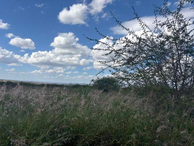 8.5 ha Land available in Kalkfontein AH