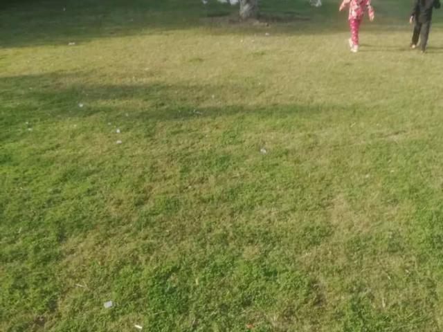 8 Marla residential plot for sale near fine city bahawalpur 2 Bahawalpur DHA Bahawalpur ID 22149
